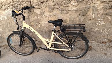 Bicicletta elettrica a pedalata assistita