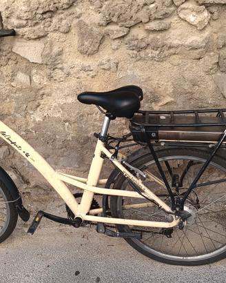 Bicicletta elettrica a pedalata assistita