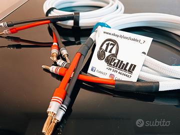 Coppia di cavi di potenza diffusori Supra 6.0