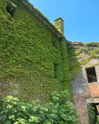 DOGALETTO Rustico immerso nel verde da restaurare