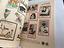 Immagine 5