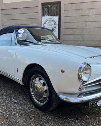 Alfa Romeo Giulia Spider