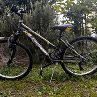 Bicicletta mtb