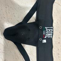 Conchiglia leone mma