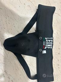 Conchiglia leone mma