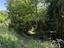 Immagine 16