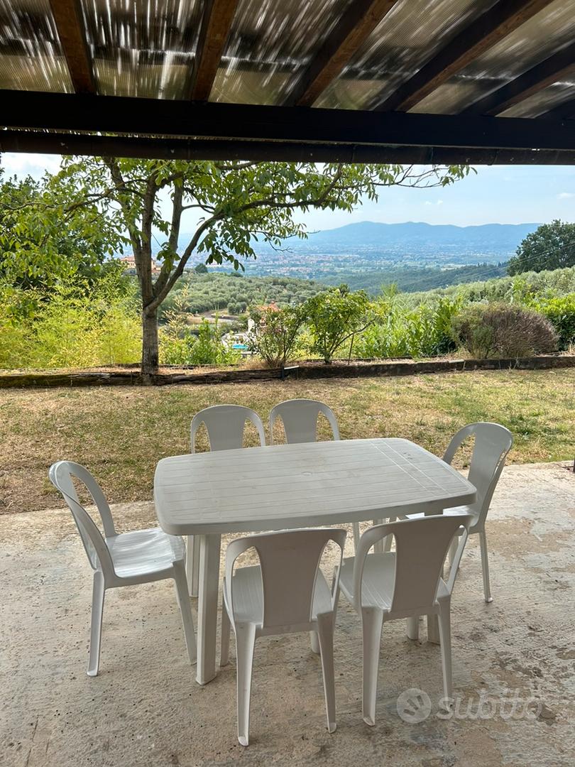 Vendita oliveto con annesso agricolo - Vista 4