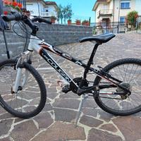 bici bimbo misura 24