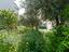 Immagine 25
