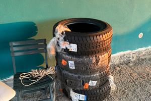 Gomme falken