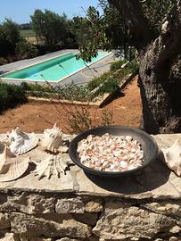 Villa piscina giardino mq. 5400 ugento (le)