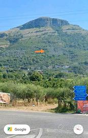 Uliveto Monte Tubenna