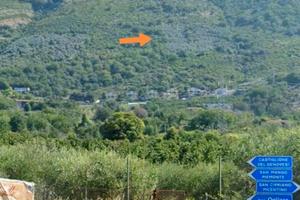 Uliveto Monte Tubenna