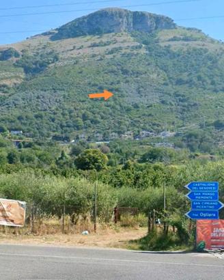 Uliveto Monte Tubenna