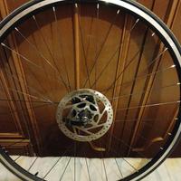ruota dietro bici da corsa completa di copertone