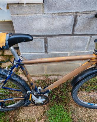 Mountain bike uomo