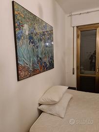 Stanza Cinisello Balsamo (MI)