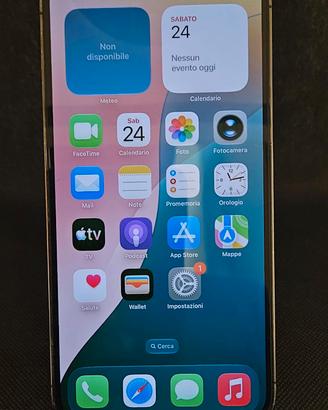 IPHONE 13 PRO MAX 256GB PERFETTO 