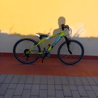 bicicletta tecnobike