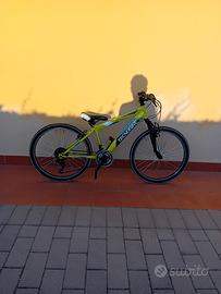 bicicletta tecnobike