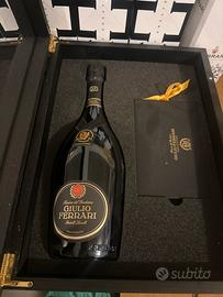 Giulio Ferrari collezione 2001