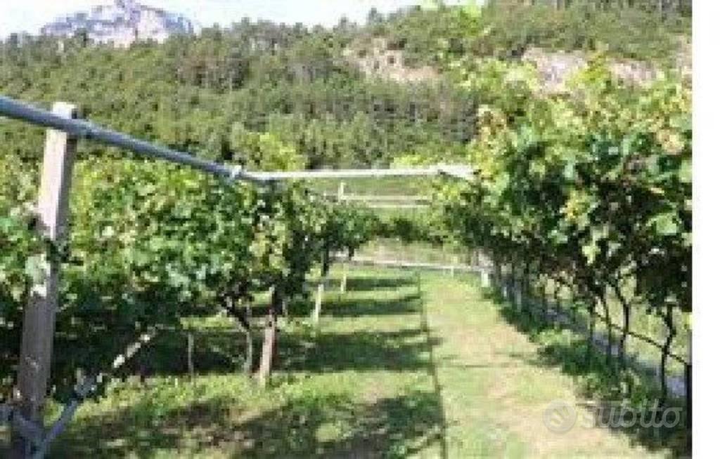 Immobile in asta di 2417 m² a Madruzzo - Vista 4