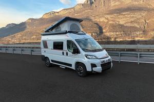 Roller Team Livingstone K2 Sport Limited