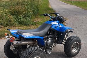 Yamaha Warrior 350 4t 2003 TARGATO