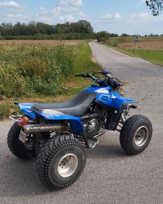 Yamaha Warrior 350 4t 2003 TARGATO