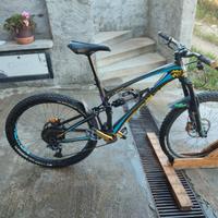 mtb enduro Pedroni Lupo Carbon