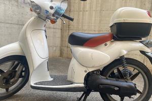 Motore scarabeo 50