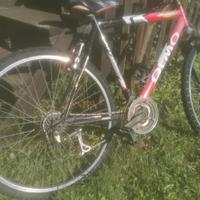 Bicicletta mtb Olmo