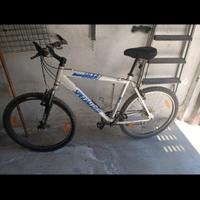 bici MTB specilized 
