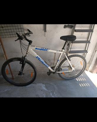 bici MTB specilized 