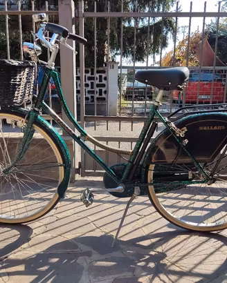 Bici Holland+ 1 MTB 