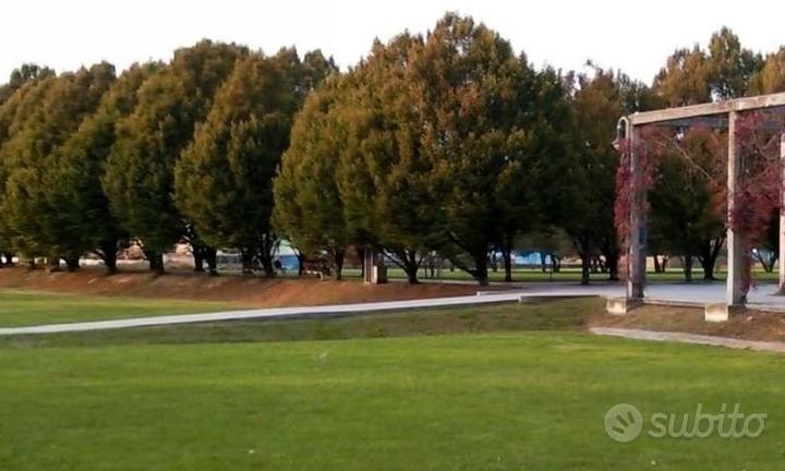 Ampio appartamento tricamere mestre carpenedo