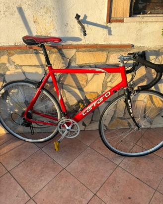 Bici da corsa carraro x pinarello