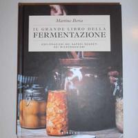 Alimenti fermentati, due libri di Beria e Stonger