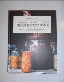 Alimenti fermentati, due libri di Beria e Stonger