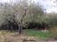 Immagine 29