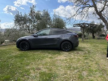 TESLA Model Y RWD