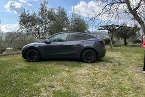 TESLA Model Y RWD