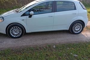 fiat punto evo 