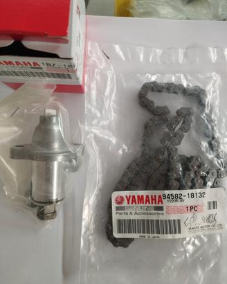 Kit distribuzione t max 500 2001 2005