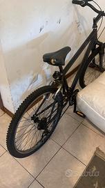Bici Mountain bike 