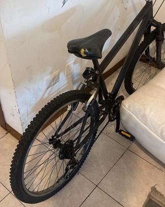 Bici Mountain bike 
