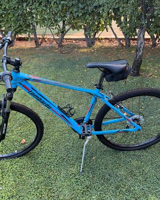 Mtb lombardo