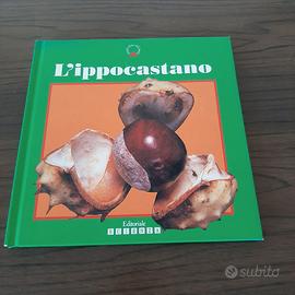 "L'ippocastano" - dai 5 anni
