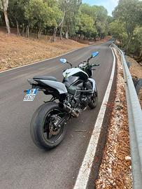 Z750 2010