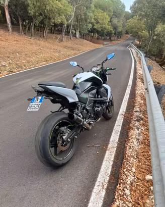 Z750 2010